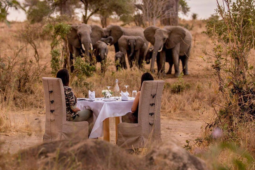 Wide angle view of elephants walking across the Amboseli plains with Mount Kilimanjaro in the background