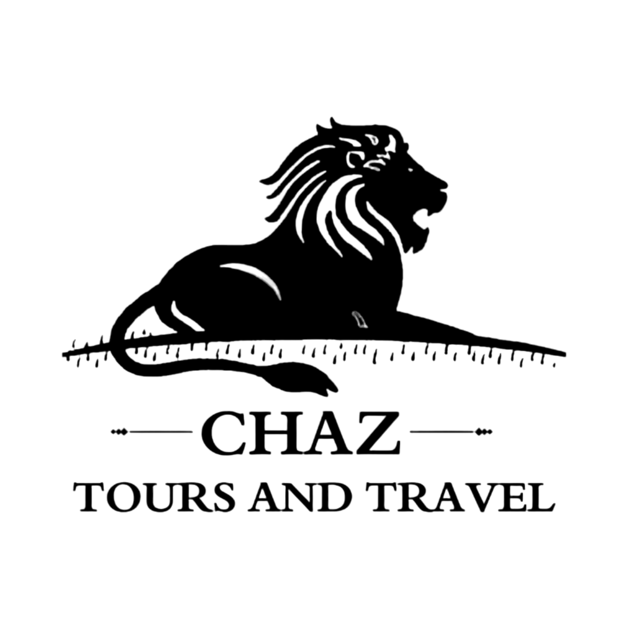 Chaz Tours and Travels