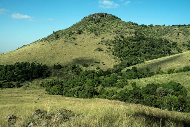 3 Days Maasai Mara National Reserve