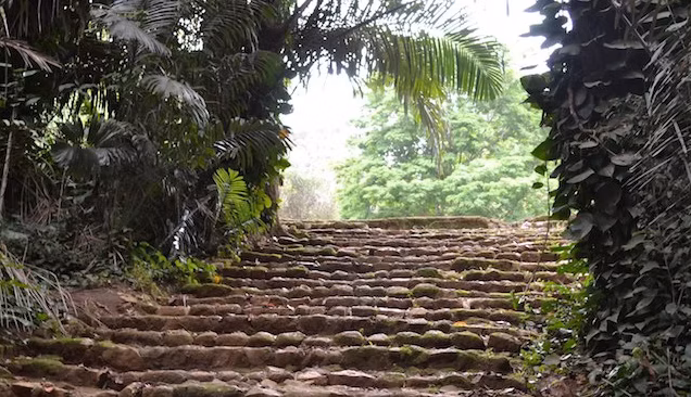 10 Days Uganda Wildlife Adventure