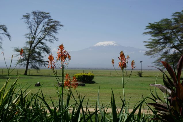 2 Days Amboseli National Park