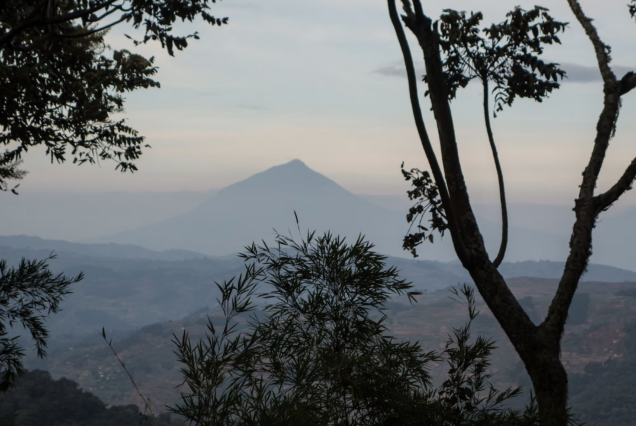4 Days Rwanda Gorilla Safari