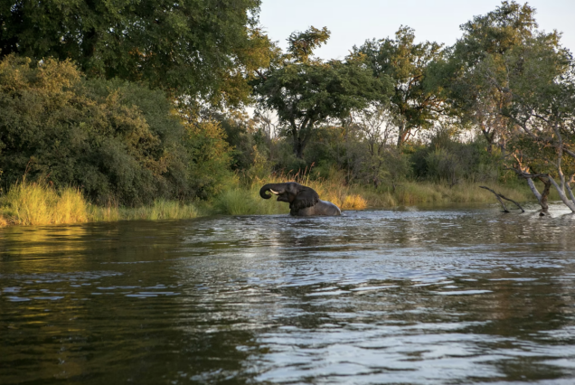 5 Days Zambezi Canoe Safari