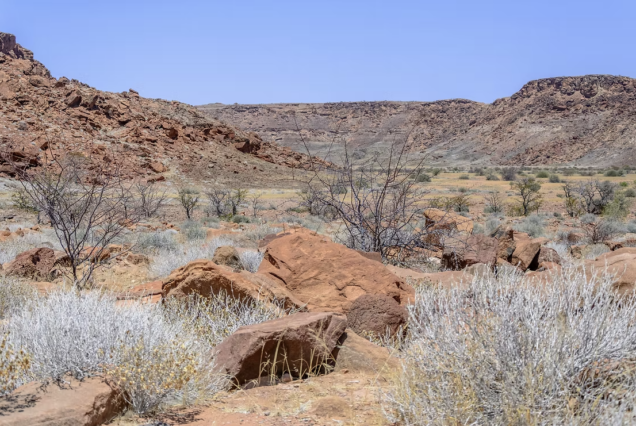 10 Days Namibia Tour