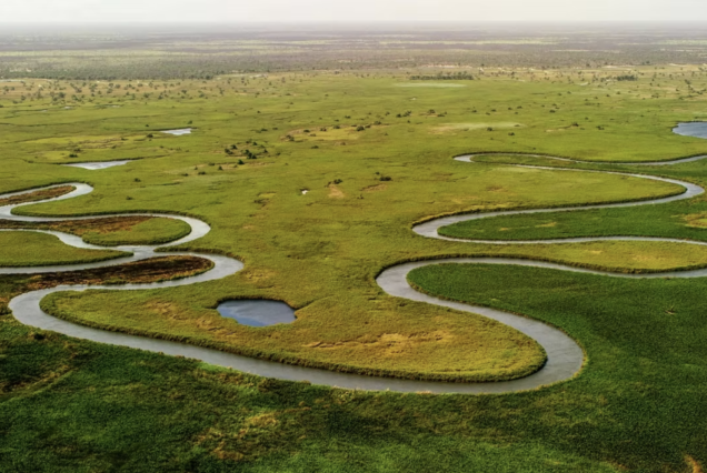 7 Days Luxury Botswana Safari Tour