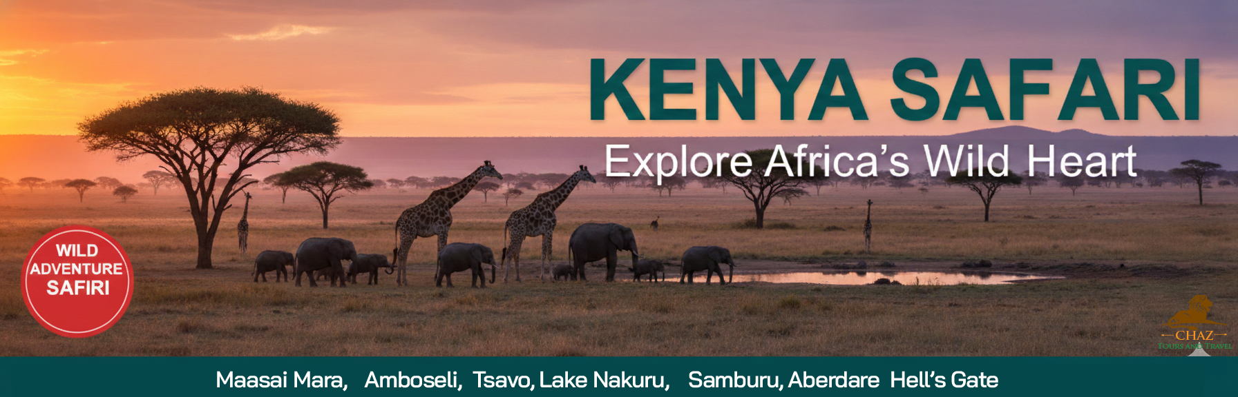 safari-chazz